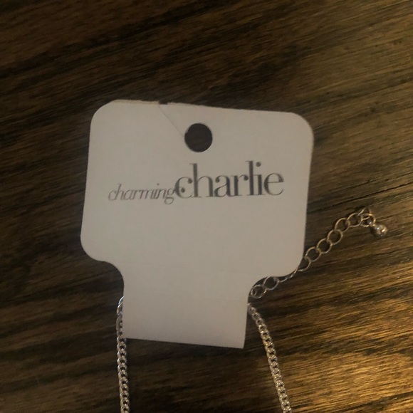 Charming Charlie Silver Statement Necklace! - Picture 3 of 3